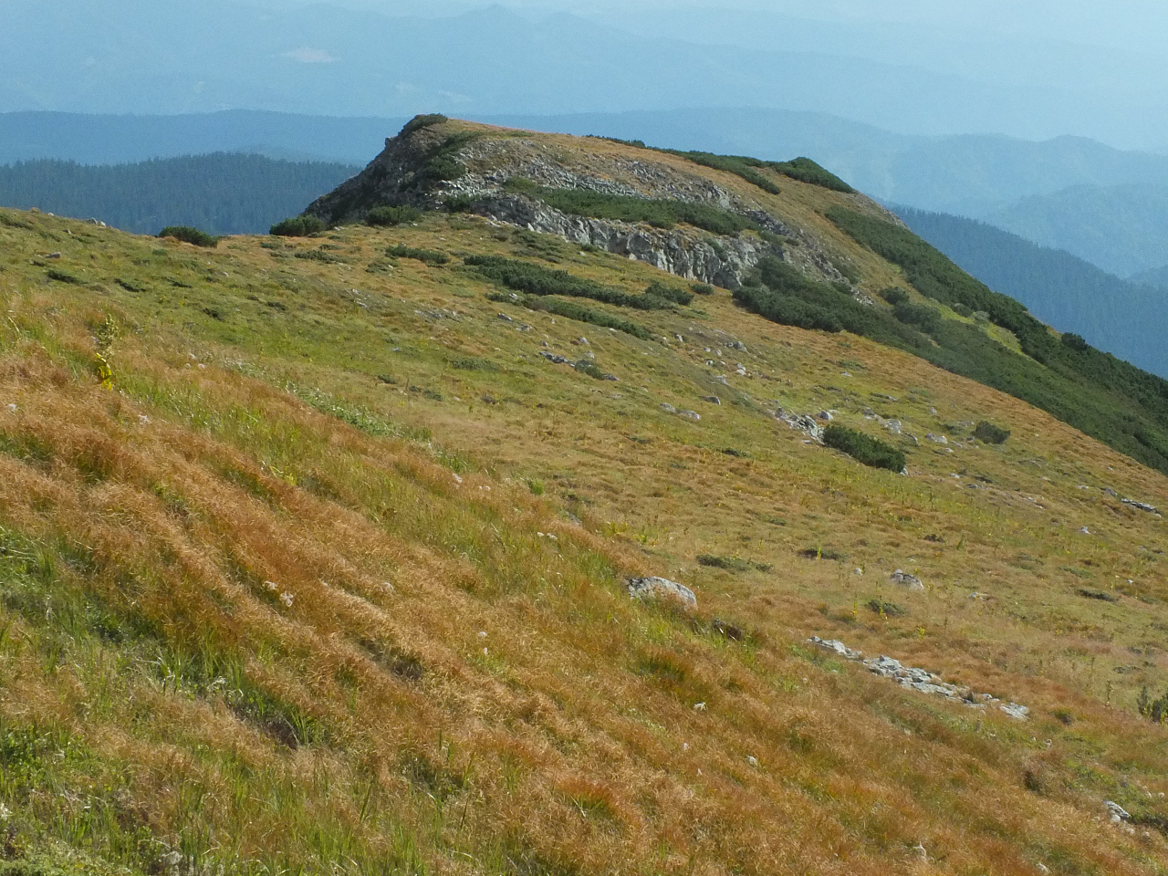 © R.Thiel
11.08.2012 16:56:07
Munții Călimani (11.08.2012)
Rumänien 2012
Rumänienfotos