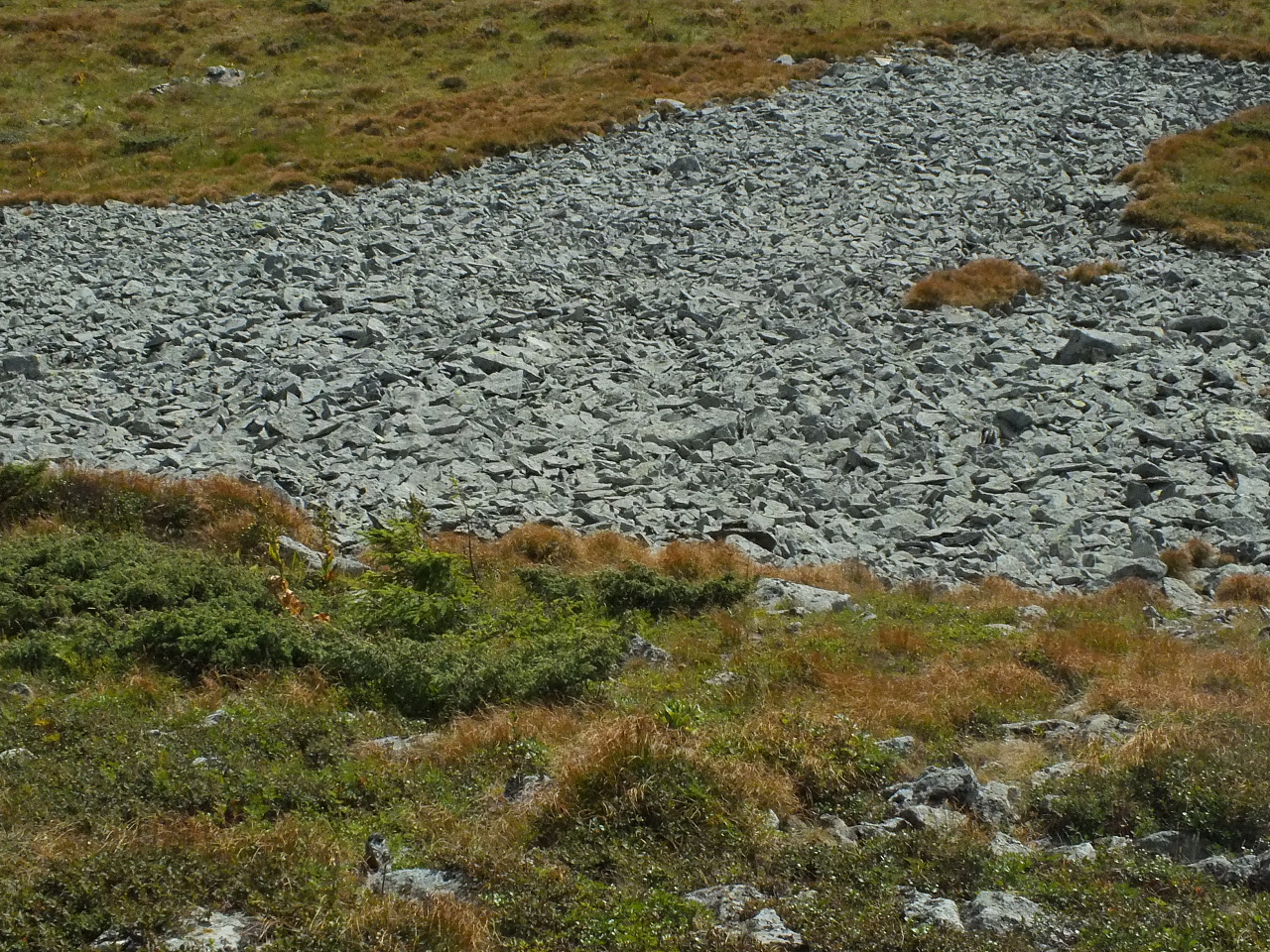 &copy; R.Thiel
11.08.2012 16:57:55
Munții Călimani (11.08.2012)
Rumänien 2012
Rumänienfotos