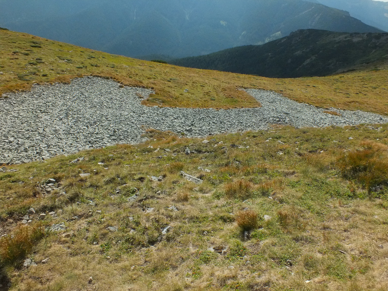 &copy; R.Thiel
11.08.2012 16:59:55
Munții Călimani (11.08.2012)
Rumänien 2012
Rumänienfotos