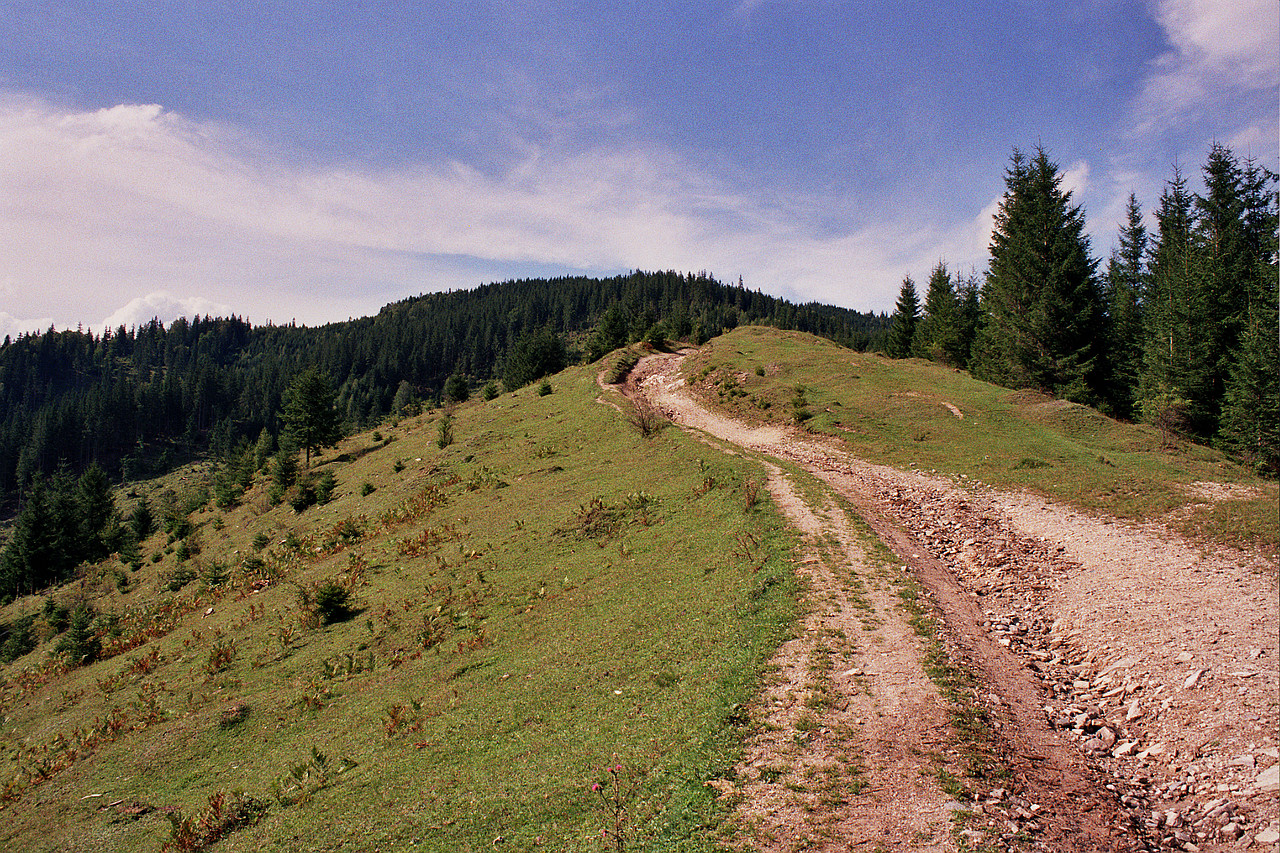 © <a href='http://rtol.de' title='Dynamische Webseiten mit (X)HTML, PHP, MySQL und CSS für Ihren Internet-Auftritt' target='_blank'>Thiel-IT</a>
Holda von oben
August 2002
Rumänienfotos