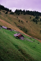 Impressionen aus den Bistritz-Bergen
August 2002
Rumänienfotos