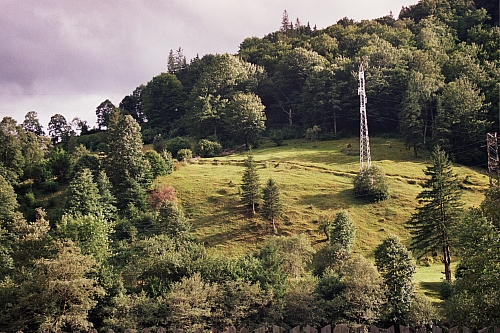 &copy; R.Thiel
Impressionen aus den Bistritz-Bergen
August 2002
Rumänienfotos