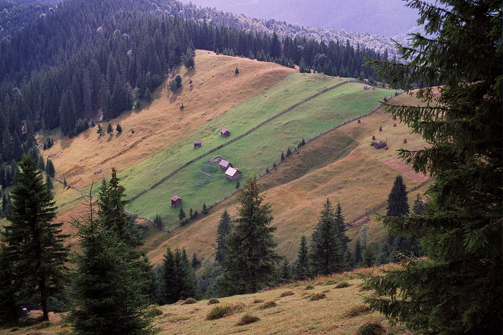 © R.Thiel
Impressionen aus den Bistritz-Bergen
August 2002
Rumänienfotos